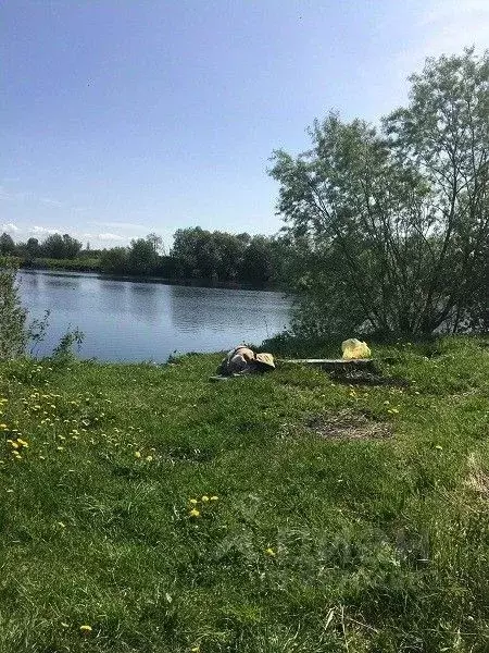 Участок в Архангельская область, Архангельск пос. Боры, ул. Боры (12.0 ... - Фото 0