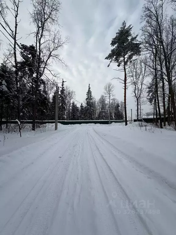 Участок в Московская область, Пушкинский городской округ, Левково-3 кп ... - Фото 1