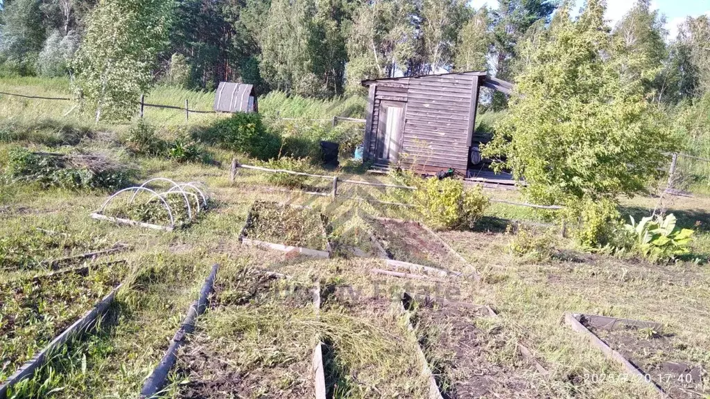 Участок в Красноярский край, Емельяновский муниципальный округ, с. ... - Фото 2