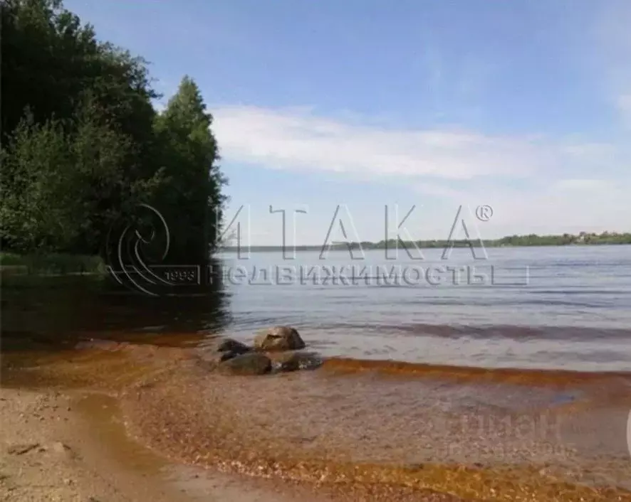 Участок в Ленинградская область, Приозерский район, Красноозерное ... - Фото 1
