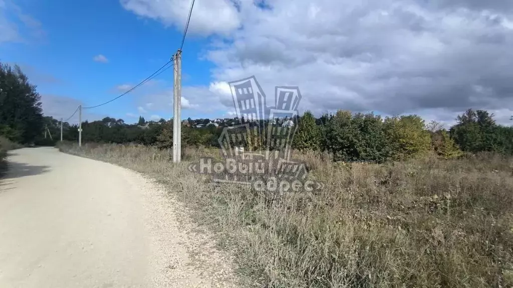 Участок в Воронежская область, Рамонский район, Березовское с/пос, с. ... - Фото 2