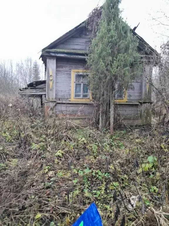 Дом в Новгородская область, Батецкий муниципальный округ, деревня ... - Фото 2