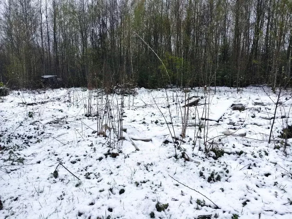 Участок в Владимирская область, Кольчугинский район, Раздольевское ... - Фото 1
