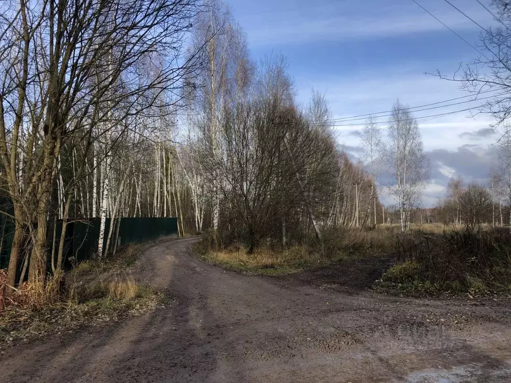 Участок в Тульская область, Заокский район, Страховское с/пос, д. ... - Фото 2