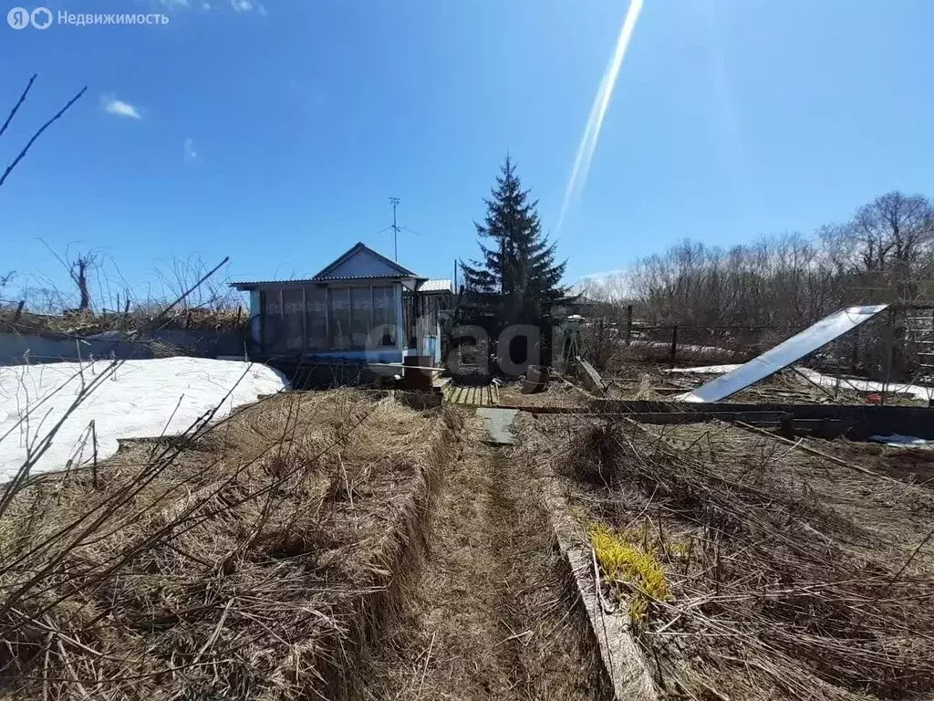 Участок в Камчатский край, Елизовский муниципальный округ, посёлок ... - Фото 1