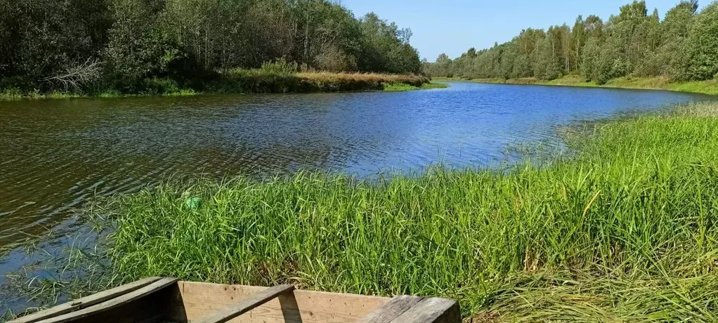 Участок в Вологодская область, Шекснинский муниципальный округ, д. ... - Фото 1