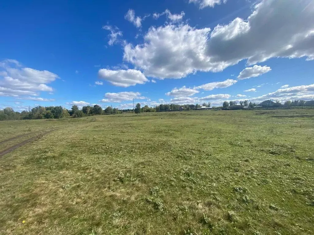 Участок в Челябинская область, Красноармейский муниципальный округ, ... - Фото 1