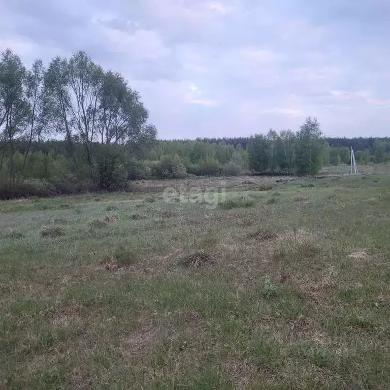 Участок в Владимирская область, Муром д. Коржавино, ул. Луговая (38.4 ... - Фото 0