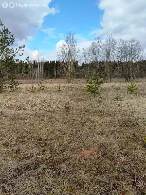 Участок в Ленинградская область, Гатчинский муниципальный округ, ... - Фото 1