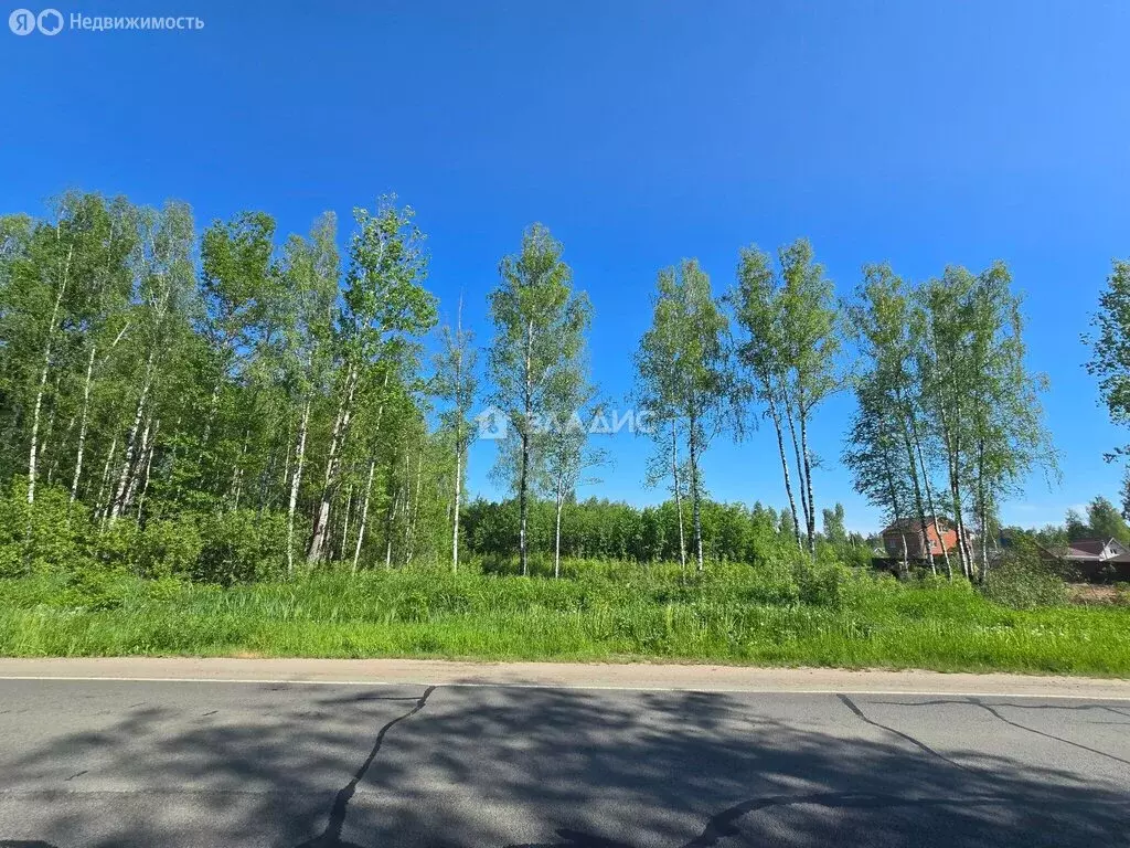 Участок в Ярославская область, Рыбинский муниципальный округ, ... - Фото 0