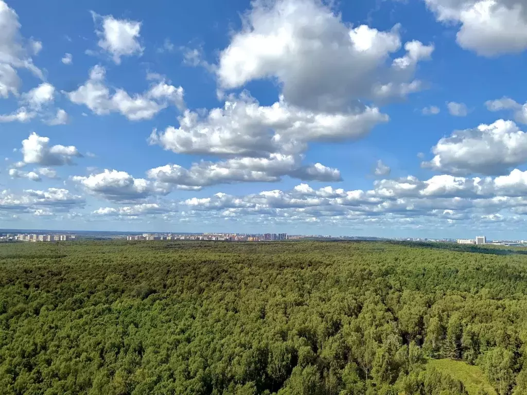 Свободной планировки кв. Москва ул. Поляны, 5 (56.1 м) - Фото 1