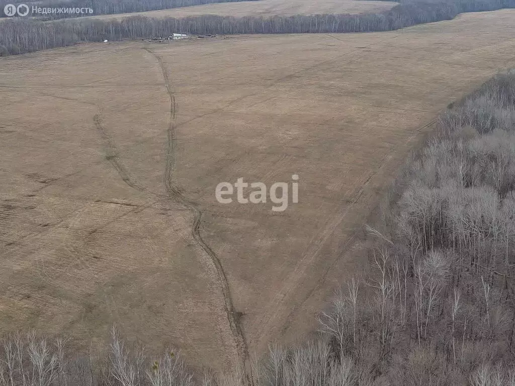 Участок в Хабаровск, Краснореченская улица (110 м) - Фото 1