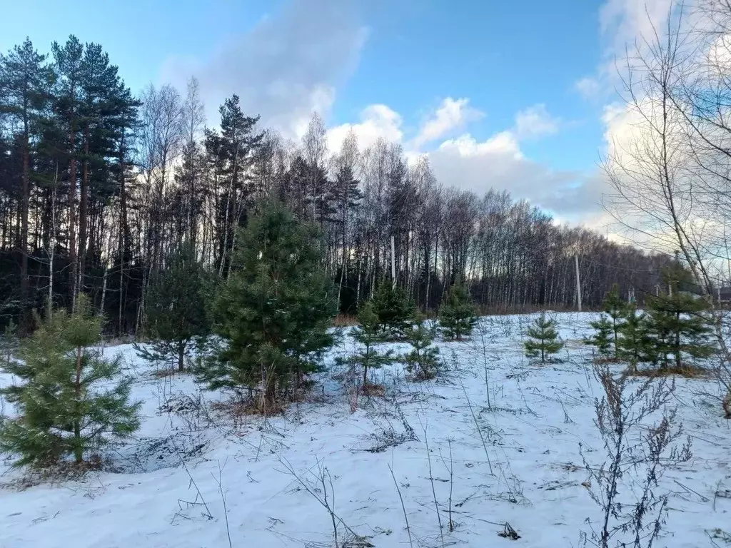 Участок в Московская область, Сергиево-Посадский городской округ, д. ... - Фото 1