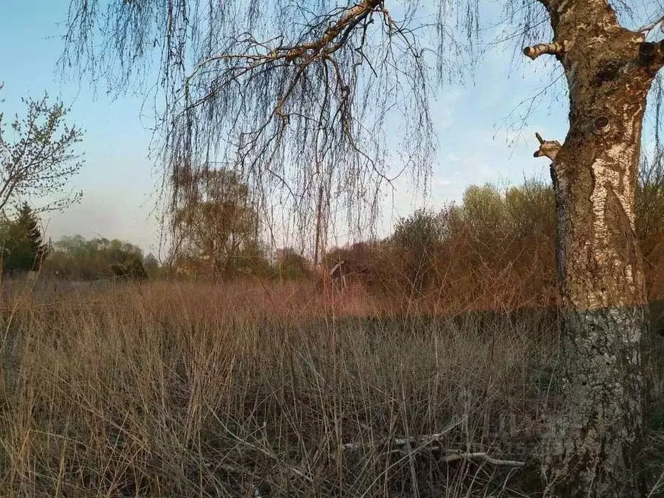 Участок в Рязанская область, Захаровский район, Добро-Пчельское с/пос, ... - Фото 1
