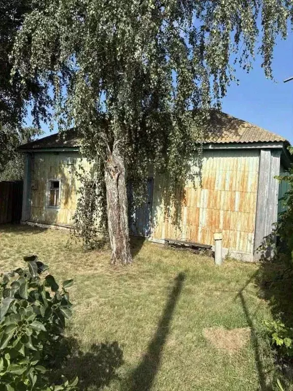 Дом в Воронежская область, Аннинский район, Бродовское с/пос, с. ... - Фото 1