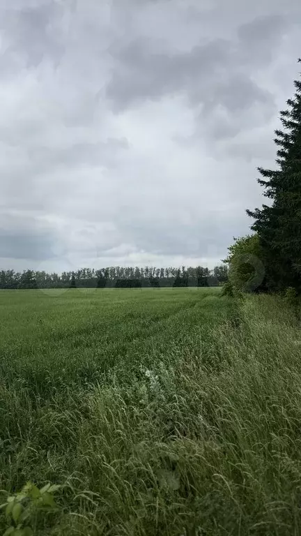 Участок 221,87 га (ИЖС) - Фото 1