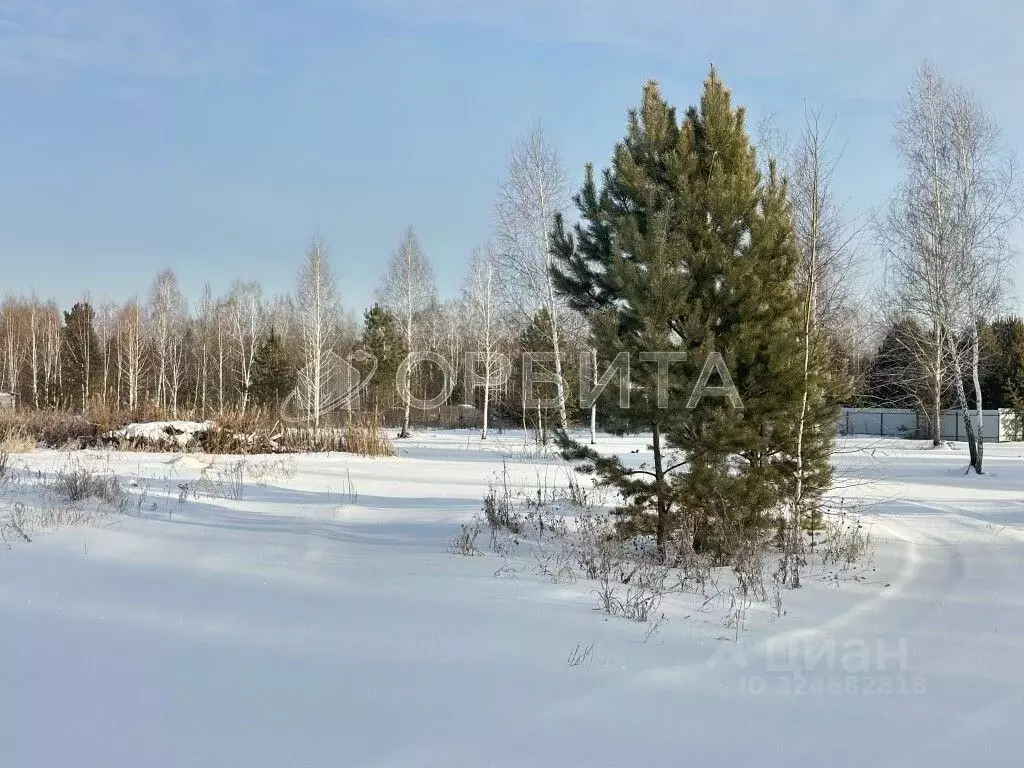 Участок в Тюменская область, Тюменский муниципальный округ, д. Чаплык  ... - Фото 2