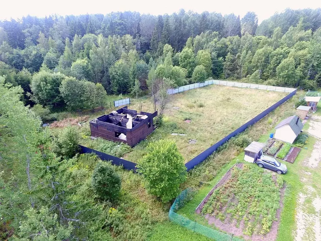 Участок в Ленинградская область, Лужский район, Толмачевское городское ... - Фото 1