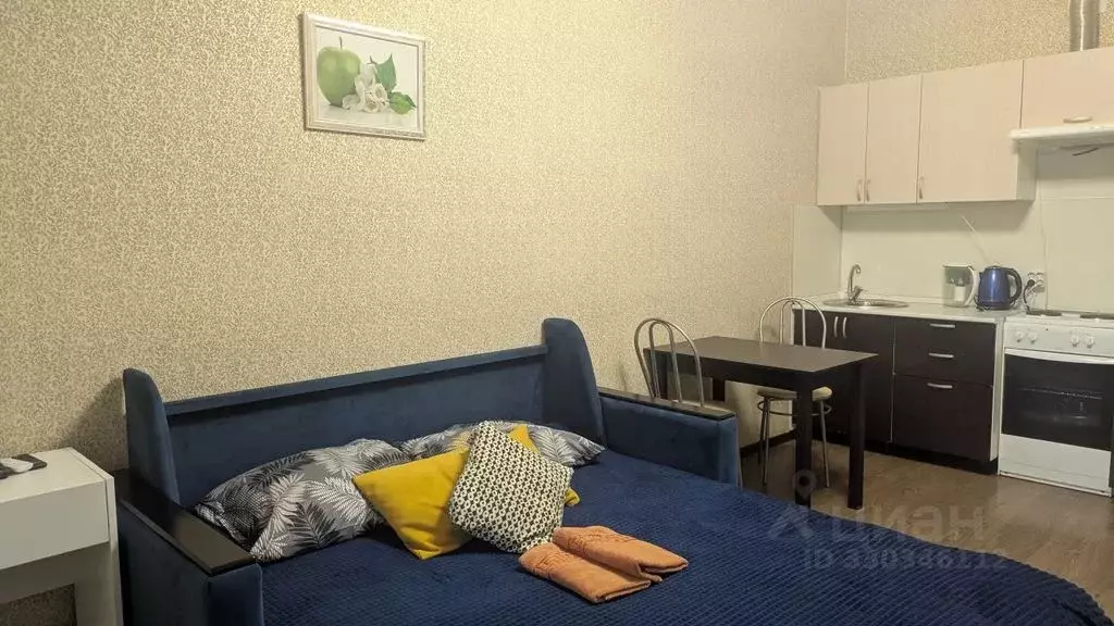 Студия Санкт-Петербург аллея Арцеуловская, 23к1 (27.0 м) - Фото 2