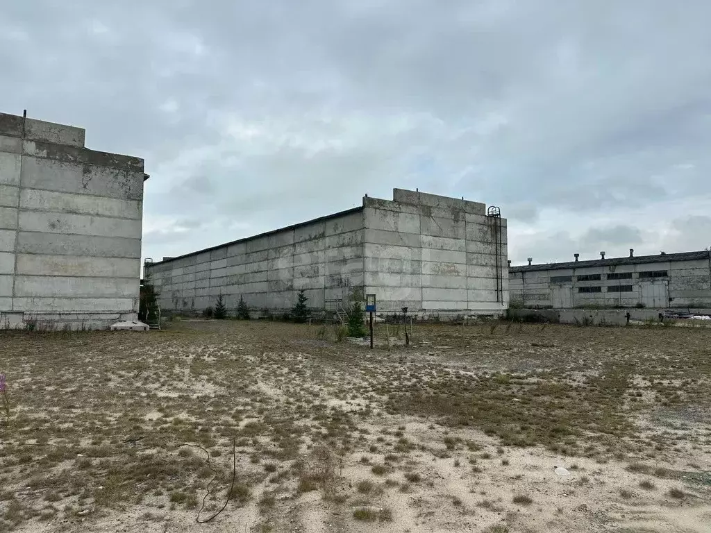 Склад в Ямало-Ненецкий АО, Новый Уренгой А панель,  (1287 м) - Фото 1