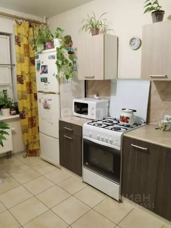 1-к кв. Калужская область, Боровский муниципальный округ, д. Кривское ... - Фото 1