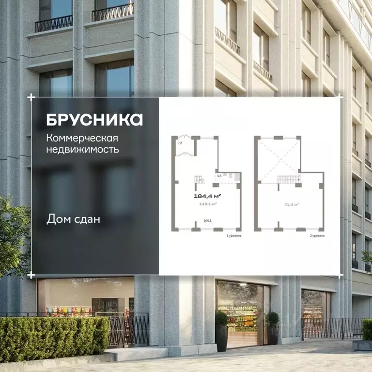 Помещение свободного назначения в Новосибирская область, Новосибирск ... - Фото 1