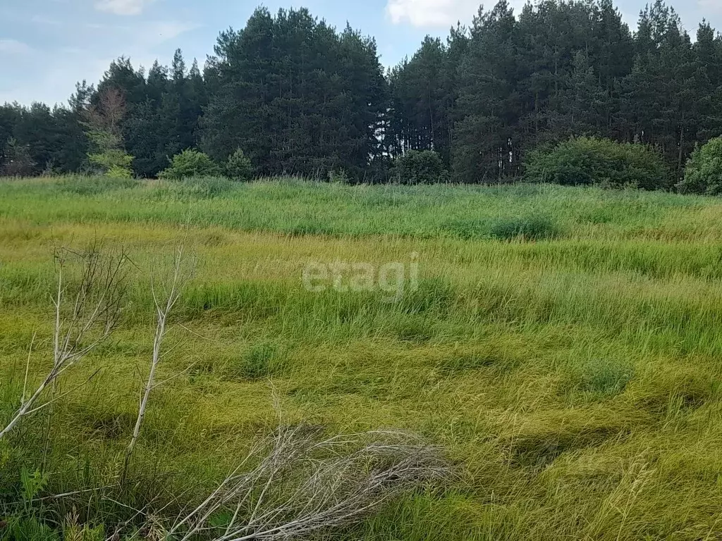 Участок в Саратовская область, Балашовский район, с. Большой Мелик ... - Фото 0