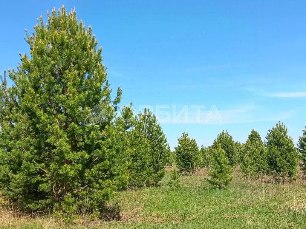 Участок в Тюменская область, Тюменский район, д. Елань 14 (8.3 сот.) - Фото 0