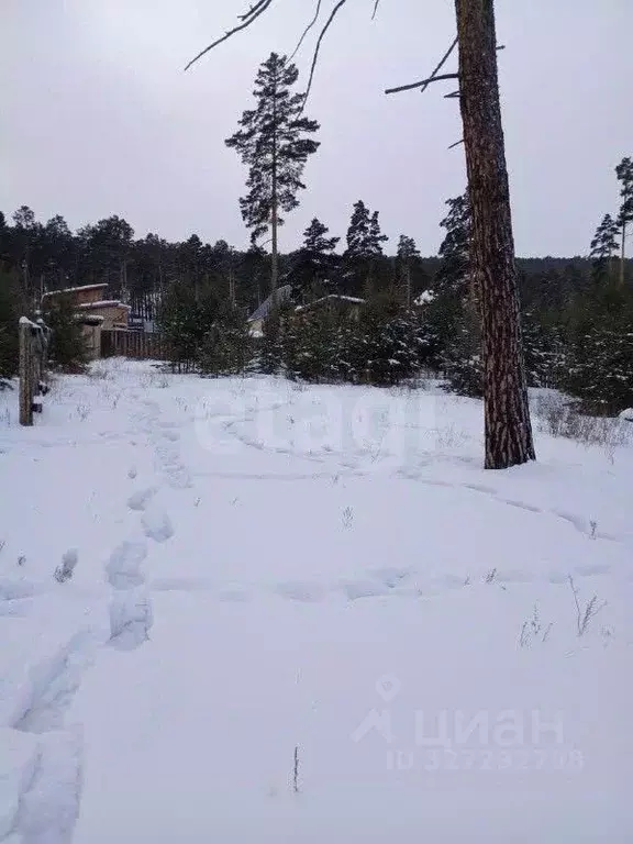 Участок в Бурятия, Улан-Удэ ул. Купеческая, 26 (8.0 сот.) - Фото 2