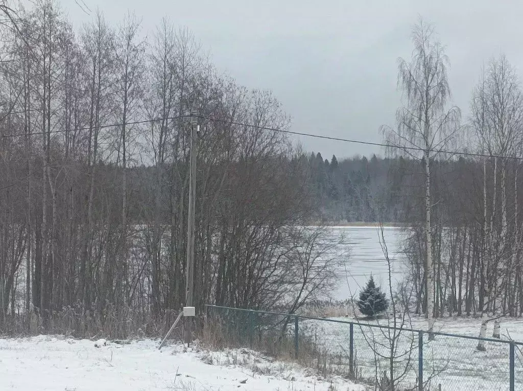 Участок в Вологодская область, Кирилловский муниципальный округ, ... - Фото 0