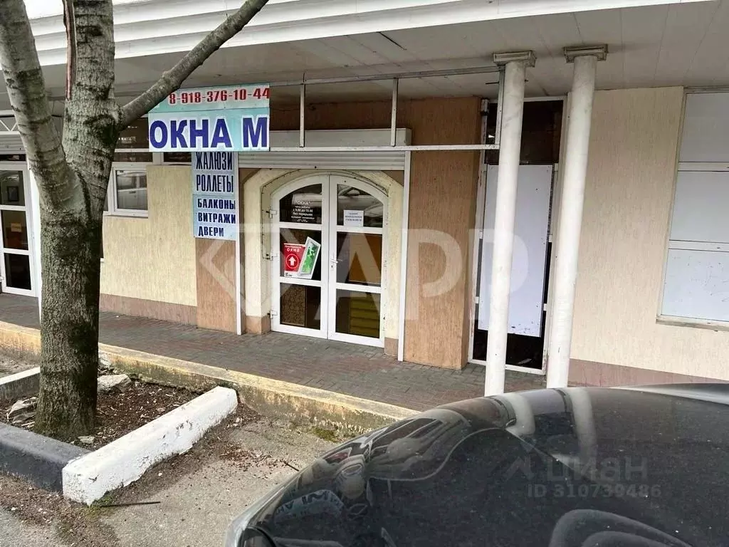 Офис в Краснодарский край, Геленджик просп. Геленджикский, 53Б (30 м) - Фото 0