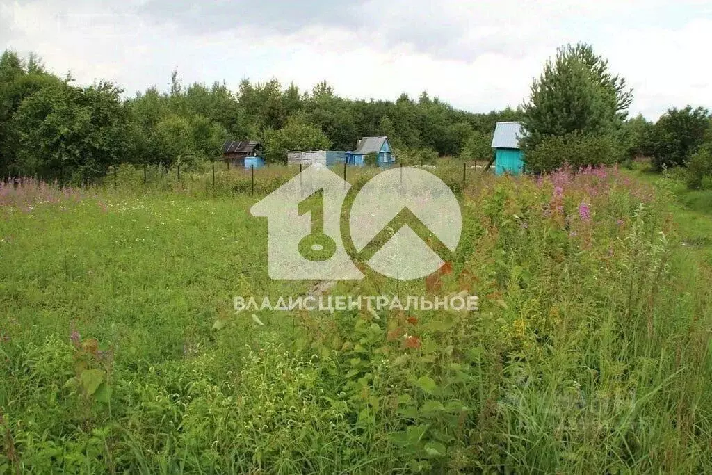Участок в Новосибирская область, Новосибирск Заря садовое ... - Фото 1