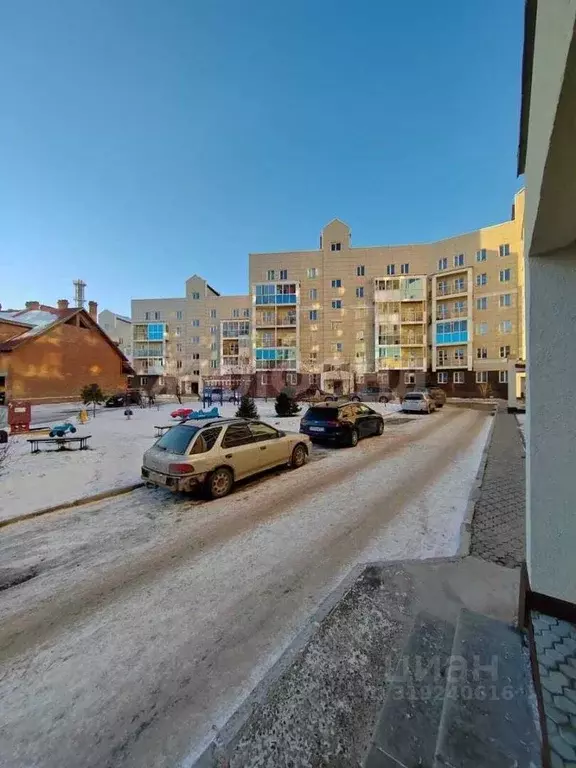 1-к кв. Новосибирская область, Новосибирск ул. Связистов, 154 (33.0 м) - Фото 0