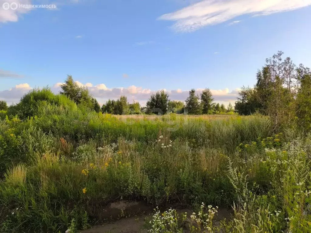 Участок в Калининградская область, Гурьевский муниципальный округ, ... - Фото 1