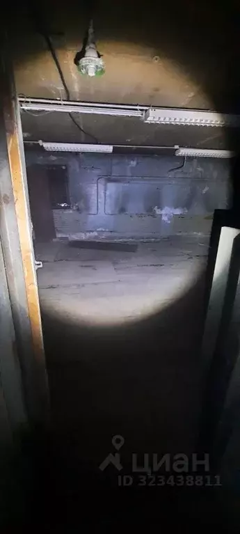 Помещение свободного назначения в Алтайский край, Барнаул ул. ... - Фото 1