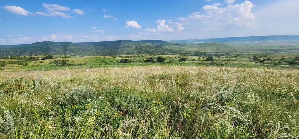 Участок 12 сот. (СНТ, ДНП) - Фото 0