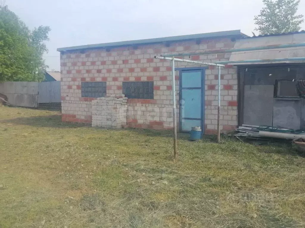 Дом в Амурская область, Ивановский муниципальный округ, с. Среднебелая ... - Фото 1