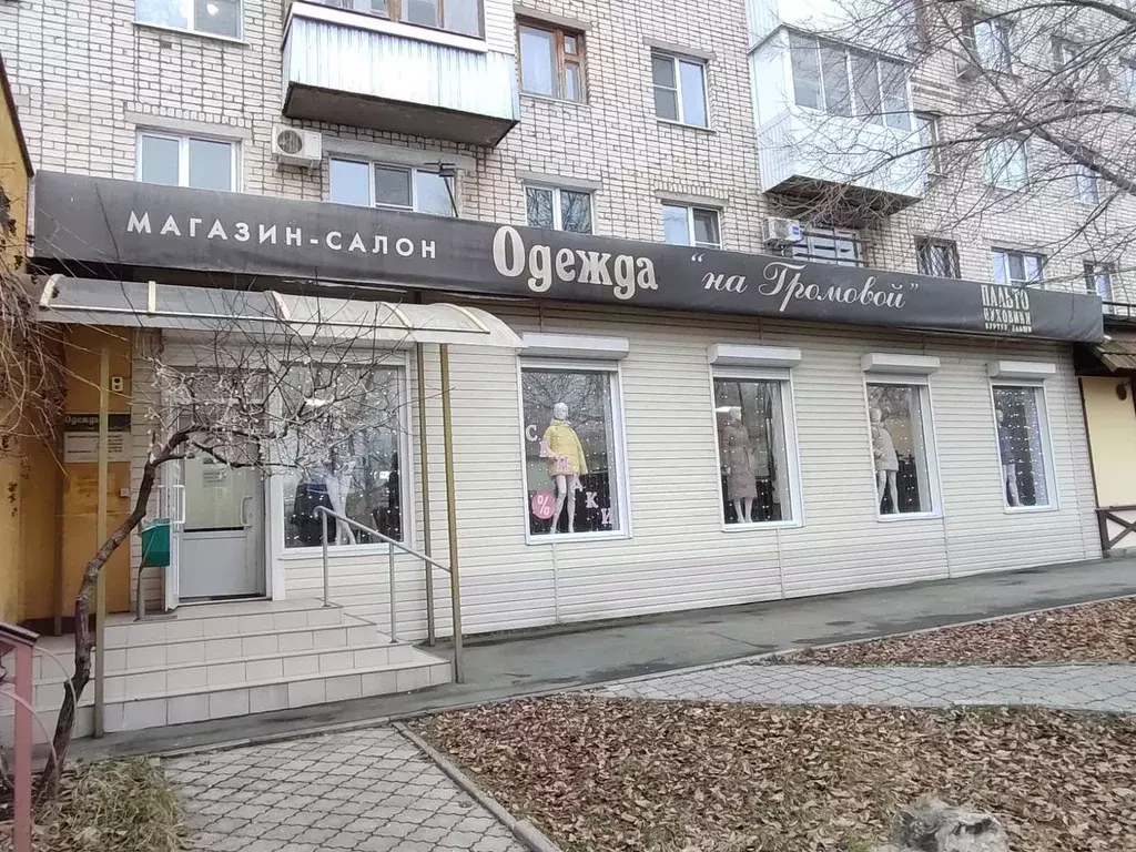 Помещение свободного назначения в Самарская область, Тольятти ул. ... - Фото 1
