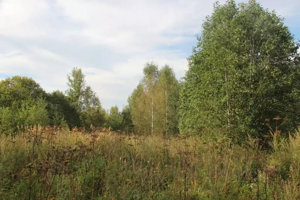 Участок в Московская область, Шаховская муниципальный округ, д. ... - Фото 1