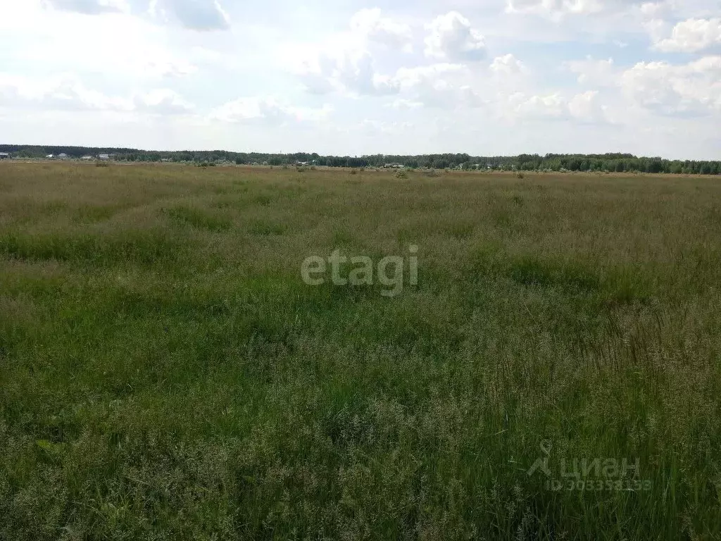 Участок в Челябинская область, Южноуральск  (10.0 сот.) - Фото 1