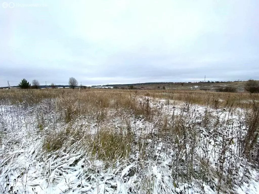 Участок в Можайский городской округ, деревня Неровново, Васильковая ... - Фото 0