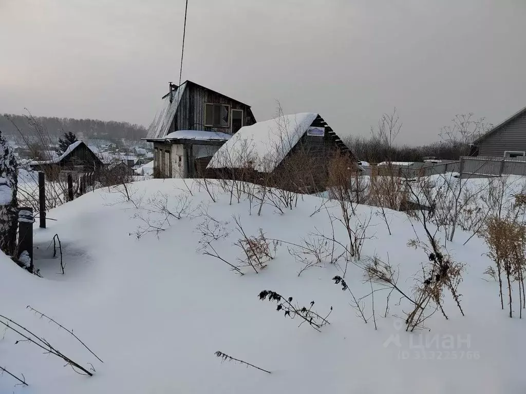 Дом в Новосибирская область, Новосибирский район, Каменский сельсовет, ... - Фото 0