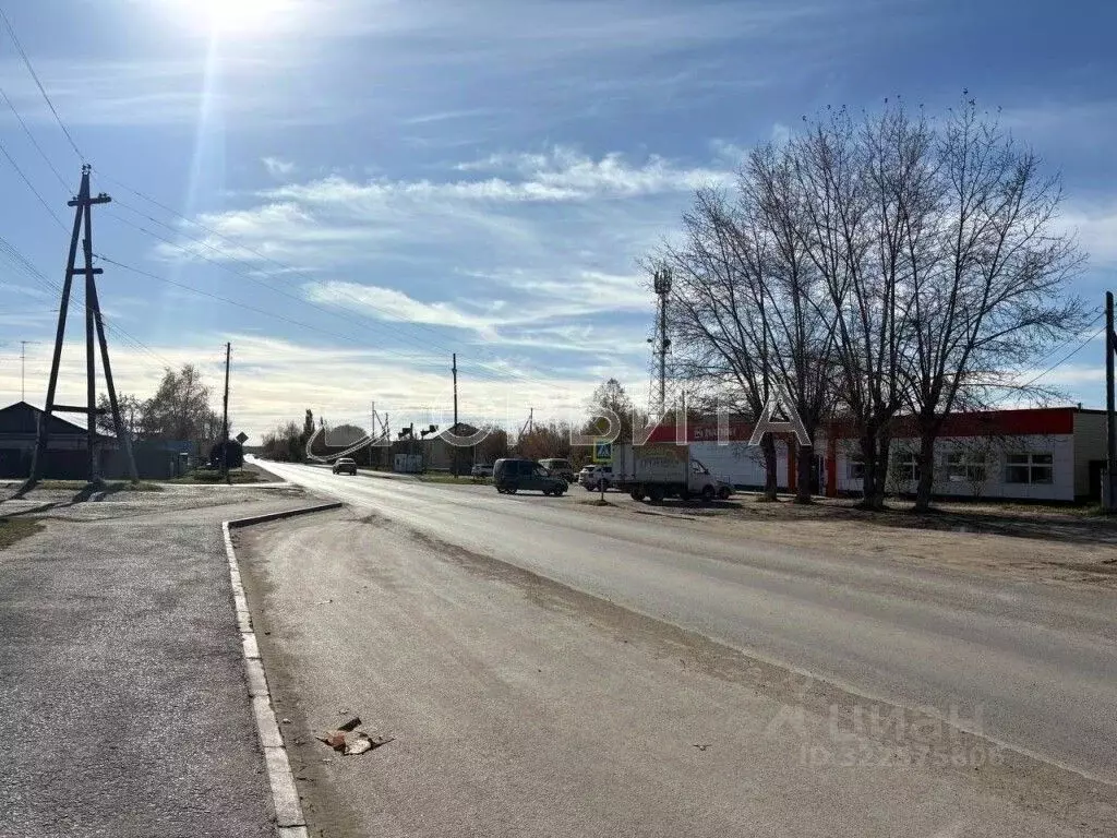 Участок в Тюменская область, Тюменский муниципальный округ, с. ... - Фото 1