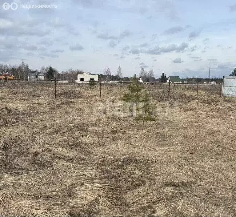 Участок в Навлинский район, Синезёрское сельское поселение, деревня ... - Фото 0