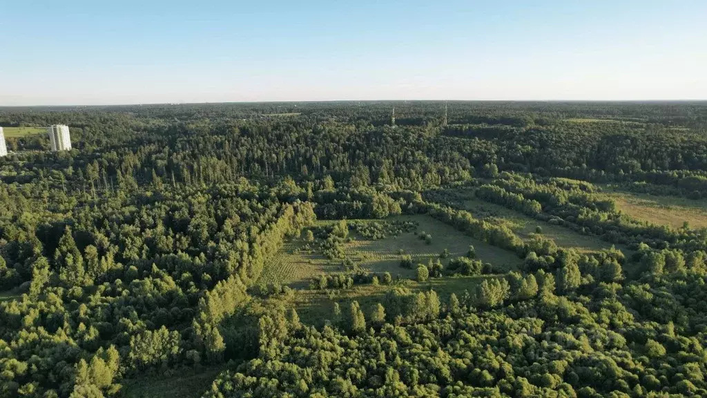 Участок в Московская область, Звенигород Одинцовский городской округ, ... - Фото 1