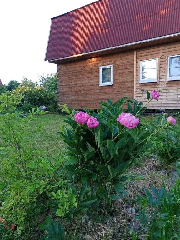 Дом в Ленинградская область, Всеволожский район, Имени Морозова ... - Фото 0