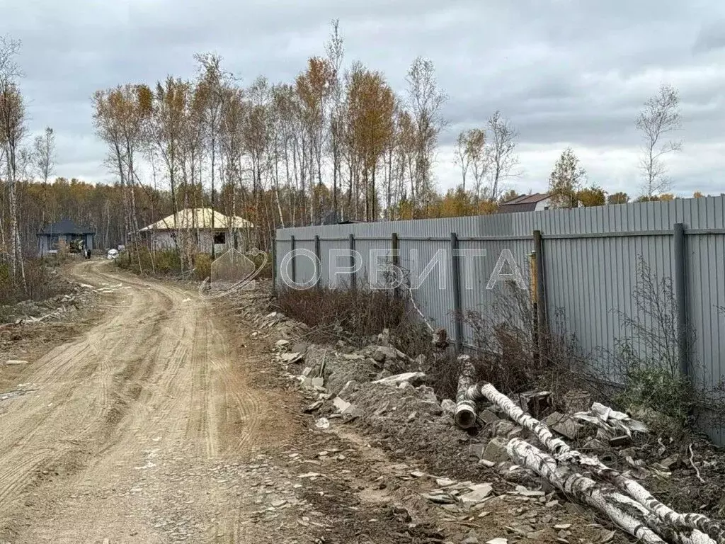 Участок в Тюменская область, Тюменский муниципальный округ, Винзили рп ... - Фото 2