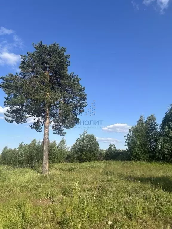 Участок в Московская область, Ленинский городской округ, д. Суханово ... - Фото 1