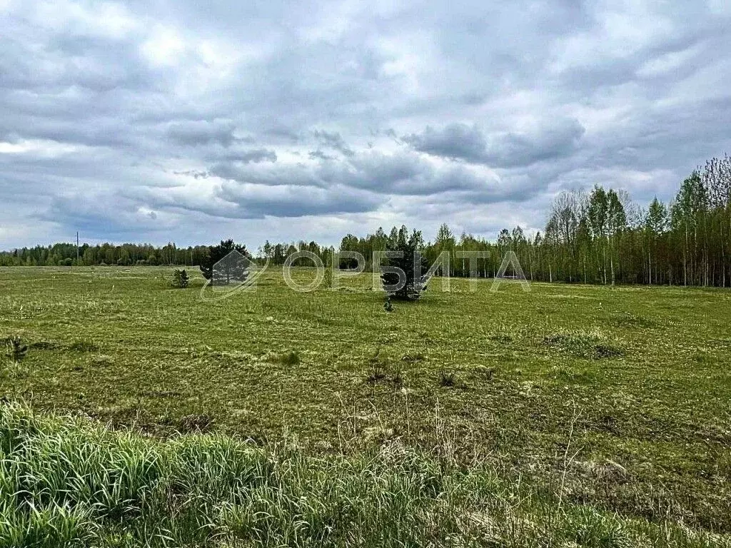 Участок в Тюменская область, Нижнетавдинский муниципальный округ, ... - Фото 1