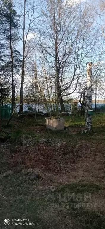 Участок в Ленинградская область, Кировский район, Павлово пгт Старое ... - Фото 1